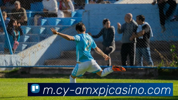 澳门新葡京娱乐平台生态图